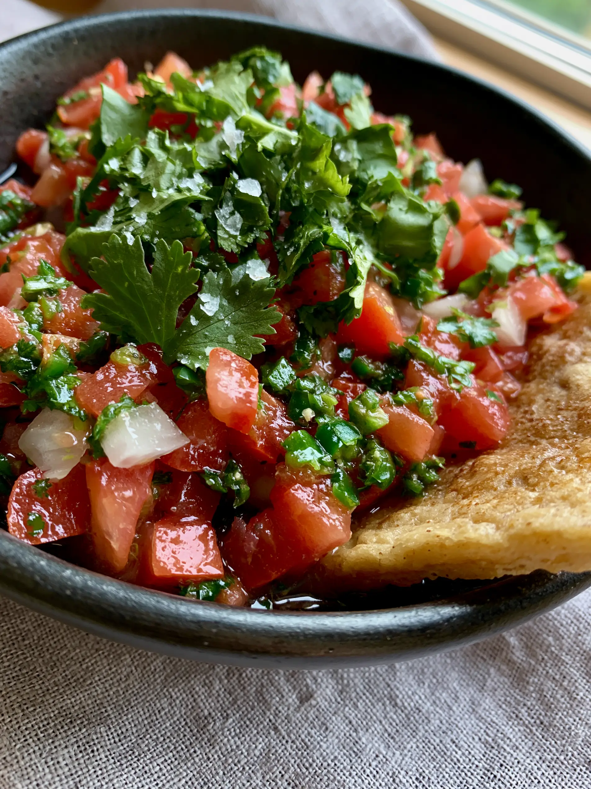 Extreme macro close-up of precision-diced Roma tomatoes and white onions in a charcoal bowl. (Pico De Gallo)